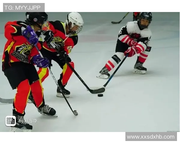 北京乒乓球队总决赛精彩表现团队协作的力量与默契分析